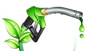 5 Common Biofuels to Know About - News about Energy Storage ...