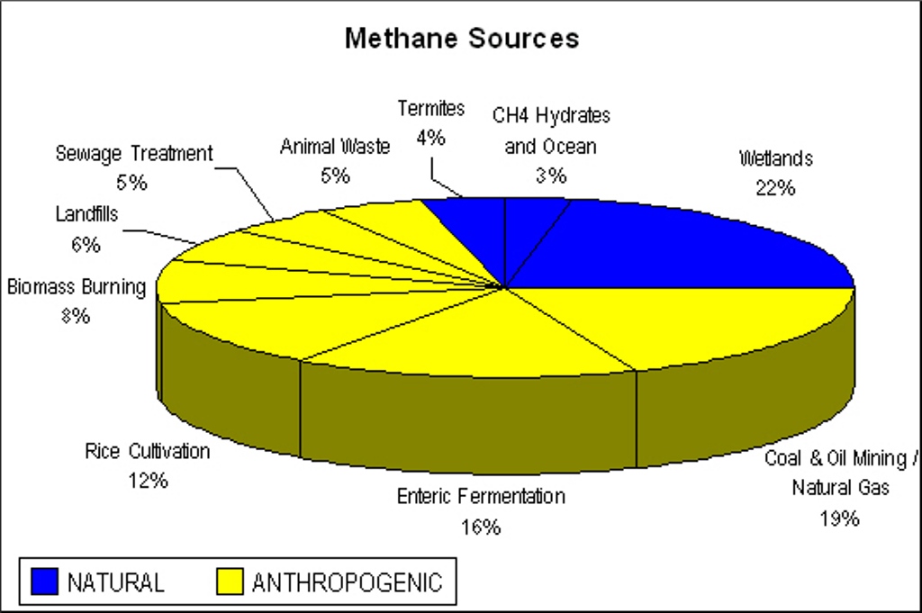 Sources-of-Methane-Natural-and-Human.jpg
