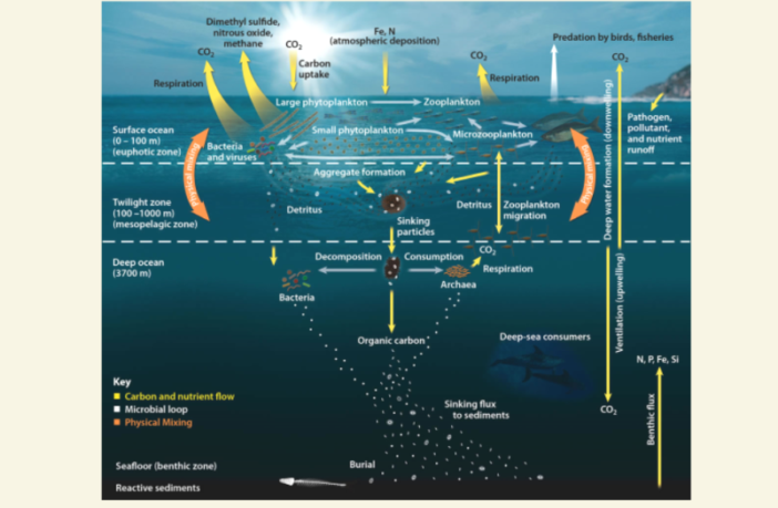 Deep Sea Mining Authority Drags Its Feet - News about Energy Storage ...